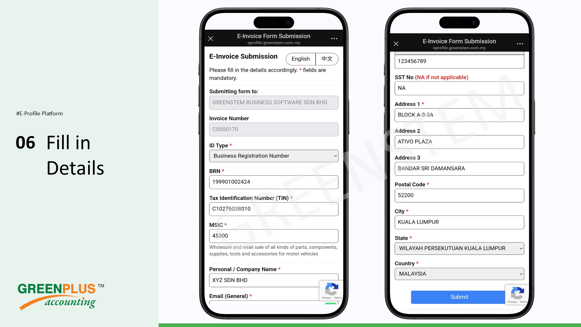 E-Invoice-In-Greenplus-System 150