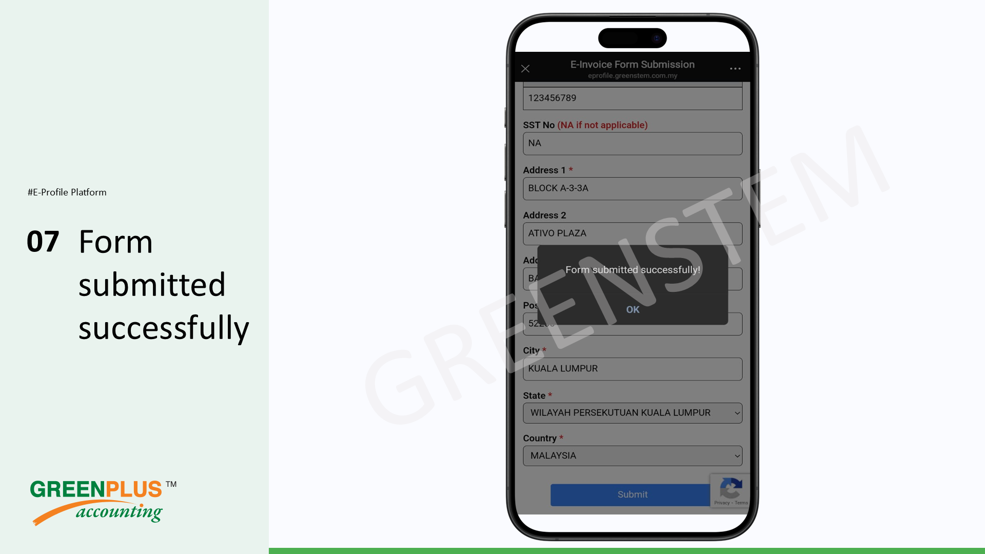 E-Invoice-In-Greenplus-System 151