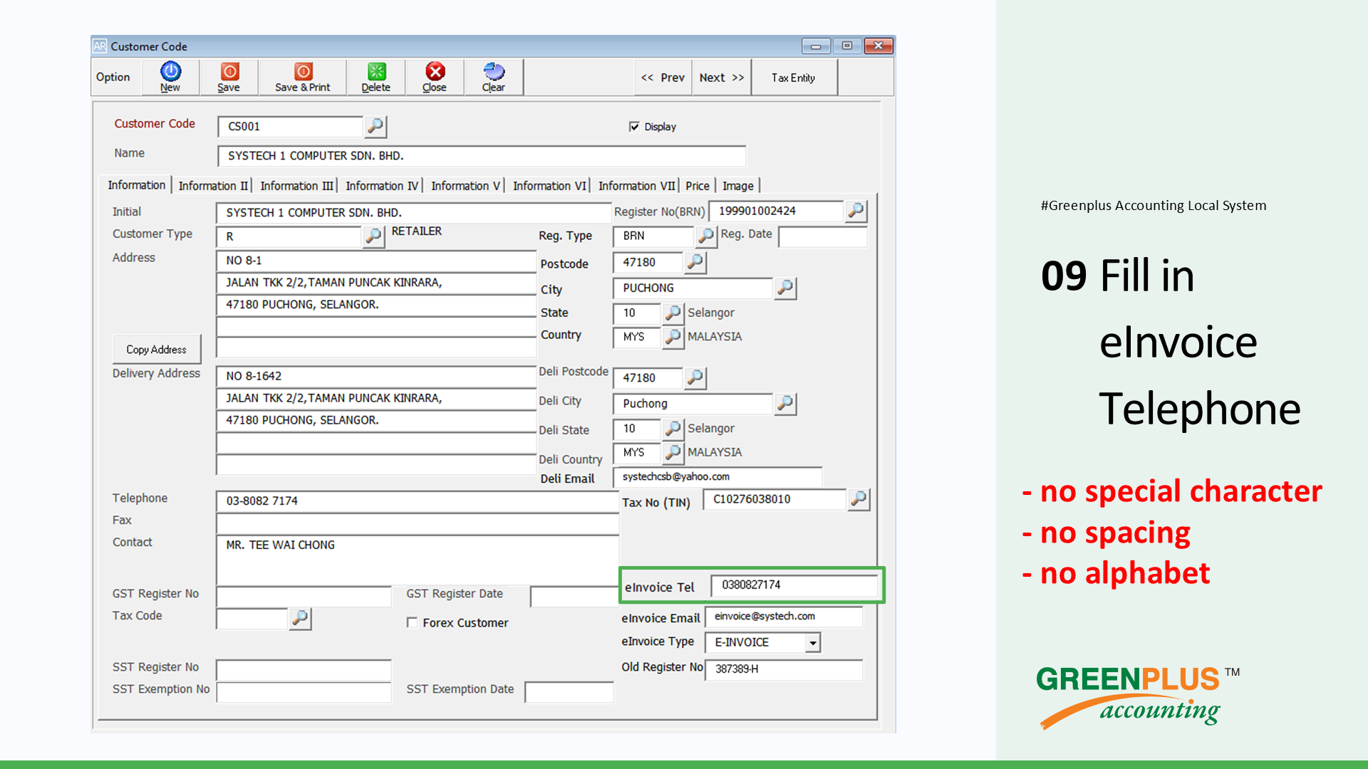 E-Invoice-In-Greenplus-System 31