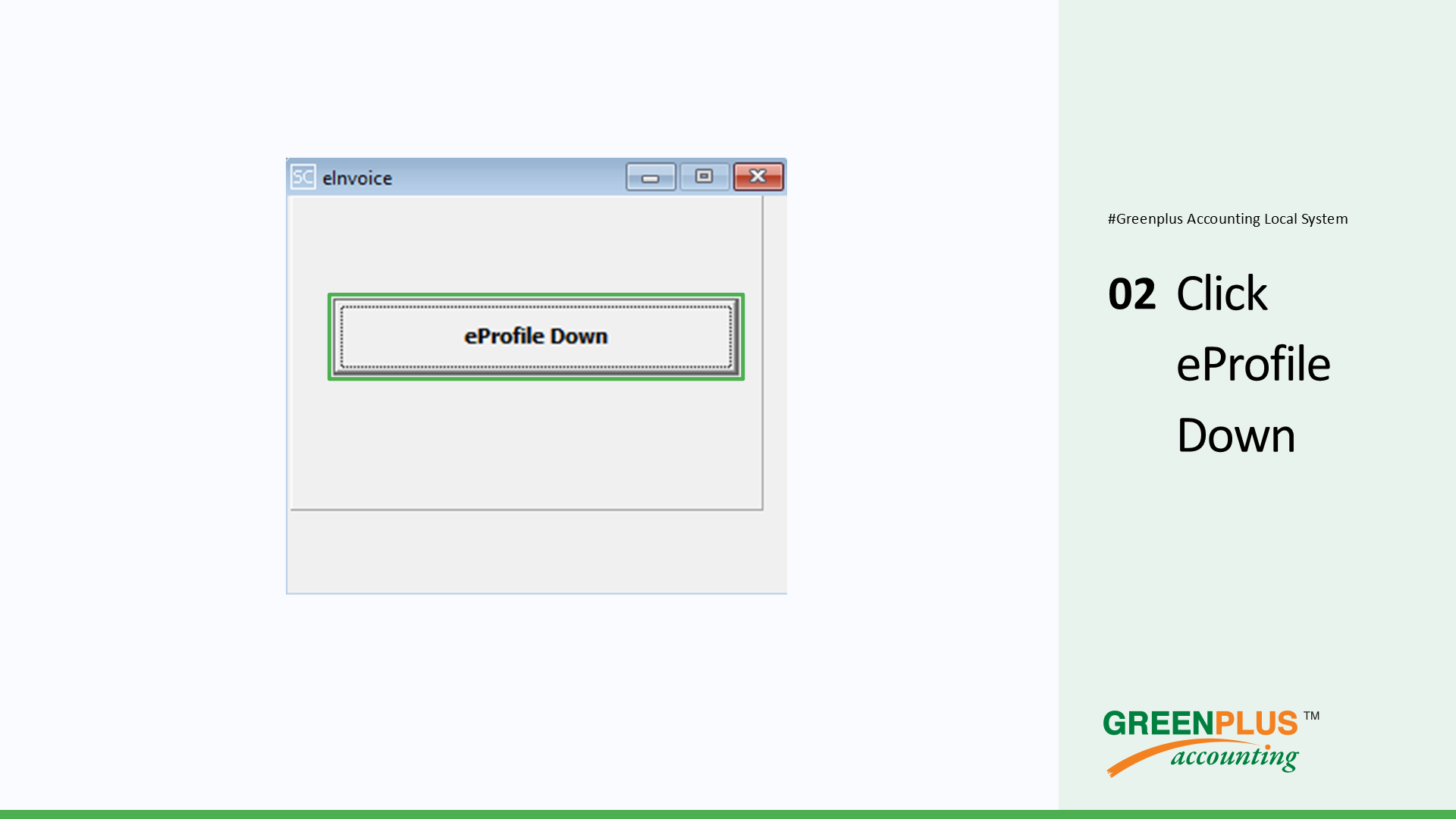 E-Invoice-In-Greenplus-System 4