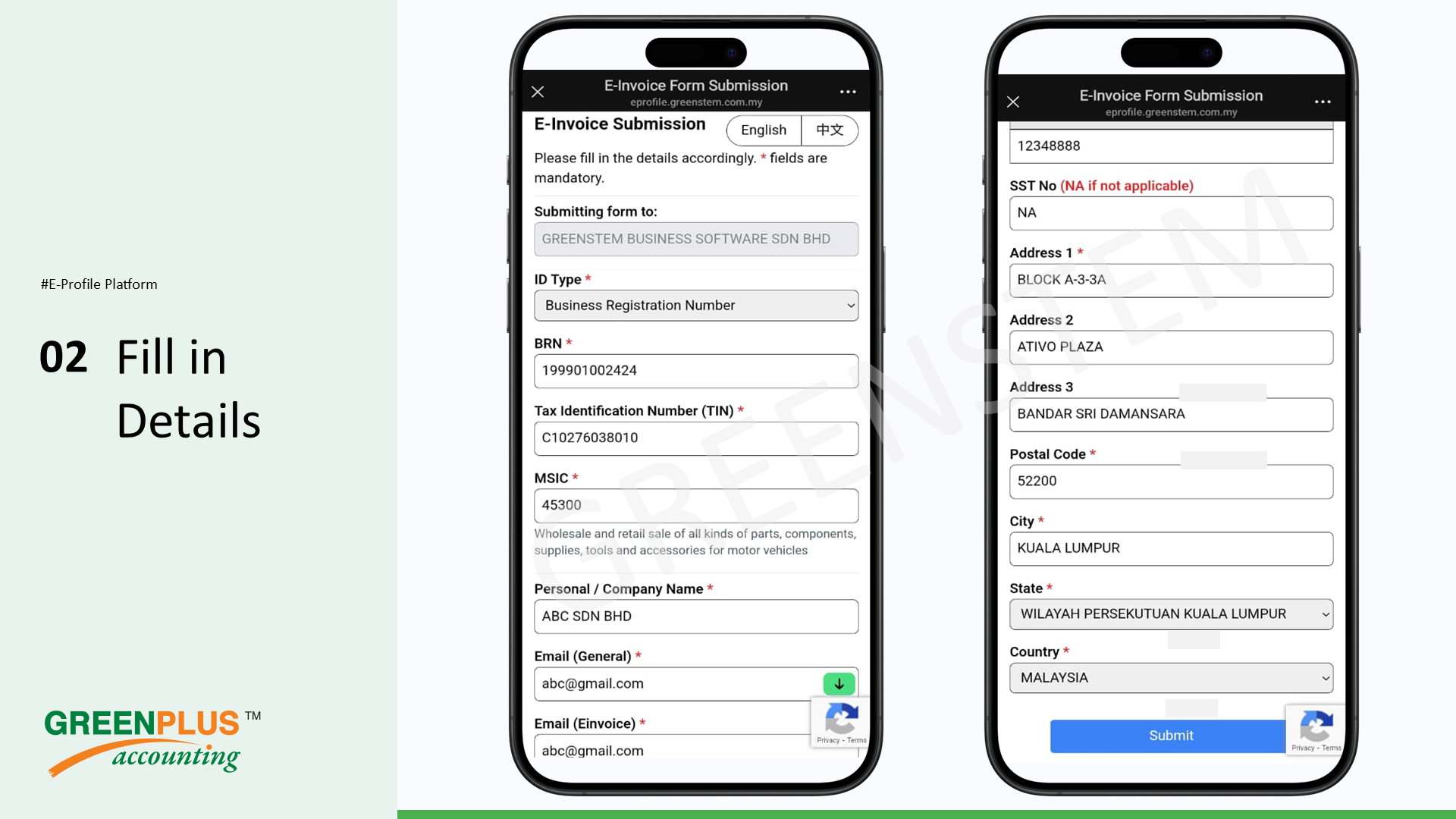 E-Invoice-In-Greenplus-System 98