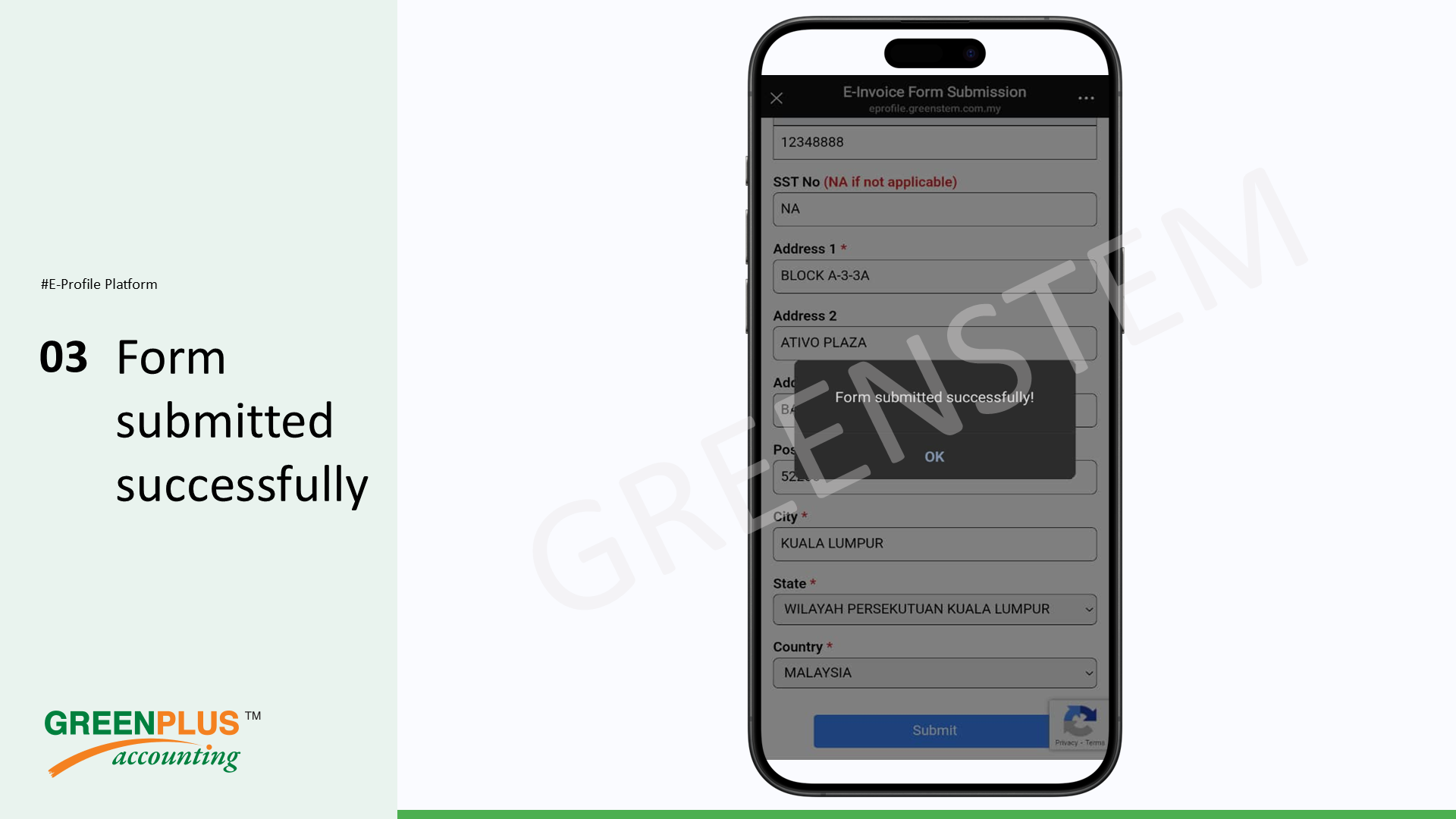 E-Invoice-In-Greenplus-System 99
